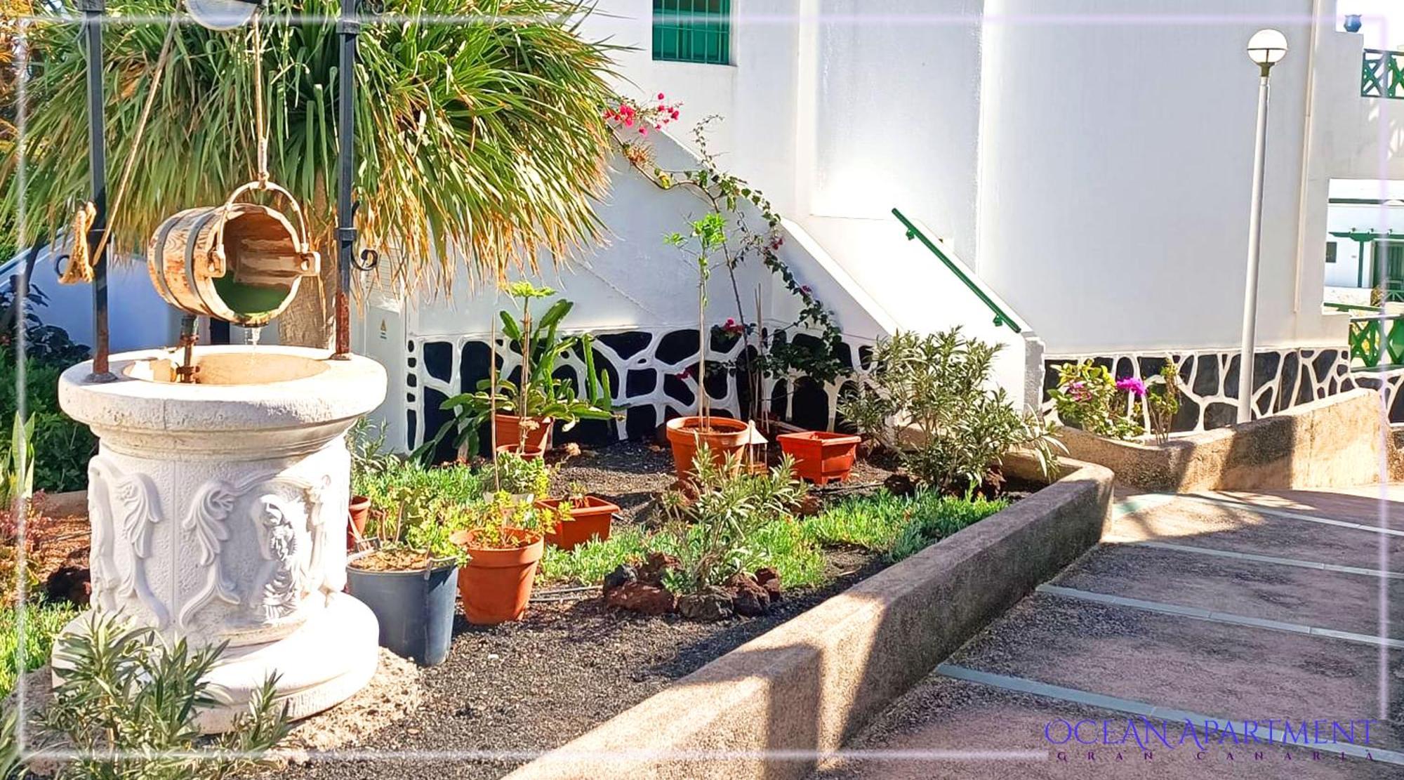 Ocean Apartment Gran Canaria 马斯帕洛马斯 外观 照片